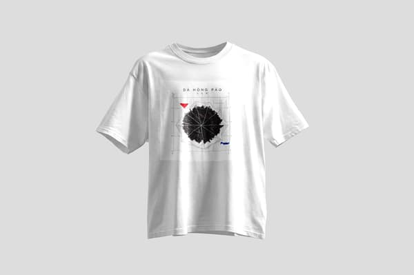 Folds of silence — Tee — Da Hong Pao