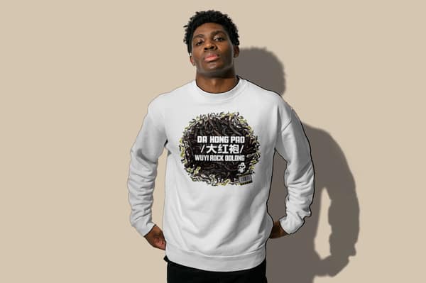 Urban camouflage — Sweatshirt — Da Hong Pao