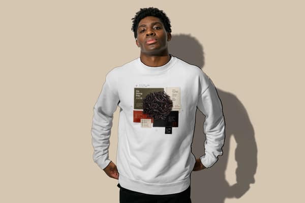 Divergence of textures — Sweatshirt — Da Hong Pao