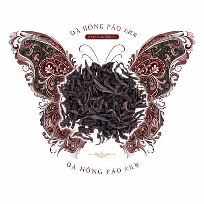 Butterfly and paisley — Da Hong Pao