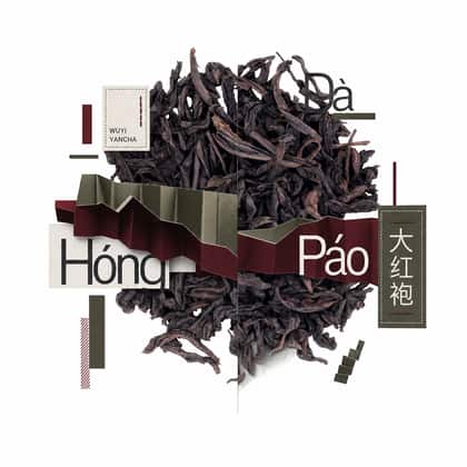 Cruce híbrido del té — Da Hong Pao